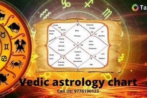Decode Your Destiny: Vedic Astrology Chart Interpretation Astrology Inaction: Discover the Hidden Power of the Stars Decode Your Destiny: Vedic Astrology Chart Interpretation | Astrology Inaction: Discover the Hidden Power of the Stars