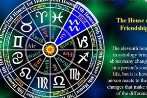 Understanding What the 11th House in Astrology Represents | Astrology Inaction: Discover the Hidden Power of the Stars