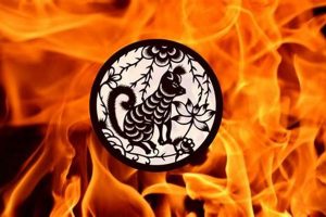 Understanding the Chinese Astrology Fire Dog Personality | Astrology Inaction: Discover the Hidden Power of the Stars