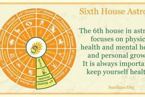 Decoding the 6th House in Astrology: Meaning & More | Astrology Inaction: Discover the Hidden Power of the Stars