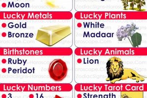 Unveiling August 11 Astrology: Traits & Insights Astrology Inaction: Discover the Hidden Power of the Stars Unveiling August 11 Astrology: Traits & Insights | Astrology Inaction: Discover the Hidden Power of the Stars