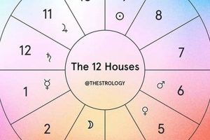 Decoding the 12 Houses of Astrology Astrology Inaction: Discover the Hidden Power of the Stars Decoding the 12 Houses of Astrology | Astrology Inaction: Discover the Hidden Power of the Stars
