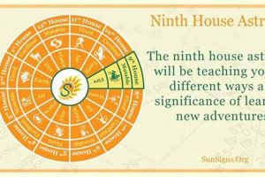 Exploring the Astrology Ninth House: A Guide | Astrology Inaction: Discover the Hidden Power of the Stars