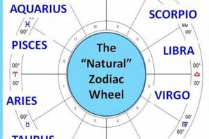 Understanding the Astrological Ages Chart & Meaning Astrology Inaction: Discover the Hidden Power of the Stars Understanding the Astrological Ages Chart & Meaning | Astrology Inaction: Discover the Hidden Power of the Stars