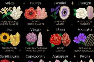 Best Astrology Flowers: Guide & Meanings | Astrology Inaction: Discover the Hidden Power of the Stars