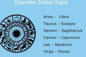 Decoding Opposite Astrology Signs: Compatibility & Growth | Astrology Inaction: Discover the Hidden Power of the Stars