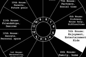Understanding the Empty 5th House in Astrology | Astrology Inaction: Discover the Hidden Power of the Stars
