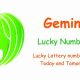 Gemini Lucky Numbers in Astrology: Meaning & Significance | Astrology Inaction: Discover the Hidden Power of the Stars