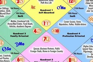 Decode Your Destiny: Vedic Astrology Birth Chart Reading Safem Fabrication - Precision Engineering & Custom Manufacturing Solutions Decode Your Destiny: Vedic Astrology Birth Chart Reading | Safem Fabrication - Precision Engineering & Custom Manufacturing Solutions