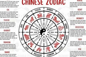 1950 Chinese Astrology Safem Fabrication - Precision Engineering & Custom Manufacturing Solutions 1950 Chinese Astrology | Safem Fabrication - Precision Engineering & Custom Manufacturing Solutions