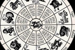 2007 Chinese Zodiac: Fire Pig Year - Full Guide | Astrology Inaction: Discover the Hidden Power of the Stars