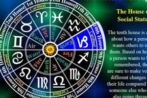 Astrology's Tenth House: Career & Legacy Astrology Inaction: Discover the Hidden Power of the Stars Astrology's Tenth House: Career & Legacy | Astrology Inaction: Discover the Hidden Power of the Stars