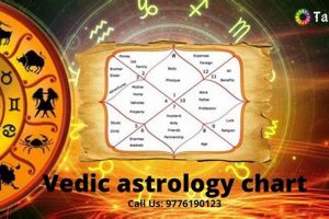 Learn Vedic Astrology Online: Courses & Resources Astrology Inaction: Discover the Hidden Power of the Stars Learn Vedic Astrology Online: Courses & Resources | Astrology Inaction: Discover the Hidden Power of the Stars