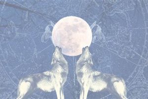 Understanding Wolf Moon Astrology & Meanings | Astrology Inaction: Discover the Hidden Power of the Stars