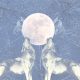 Understanding Wolf Moon Astrology & Meanings | Astrology Inaction: Discover the Hidden Power of the Stars