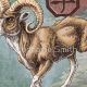 Understanding the Chinese Astrology Ram: A Guide | Astrology Inaction: Discover the Hidden Power of the Stars