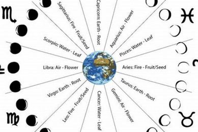 Understanding Astrological Moon Signs & Meanings Astrology Inaction: Discover the Hidden Power of the Stars Understanding Astrological Moon Signs & Meanings | Astrology Inaction: Discover the Hidden Power of the Stars