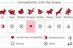 Chinese Zodiac Snake Compatibility Guide Astrology Inaction: Discover the Hidden Power of the Stars Chinese Zodiac Snake Compatibility Guide | Astrology Inaction: Discover the Hidden Power of the Stars