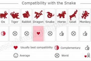 Chinese Zodiac Snake Compatibility Guide Astrology Inaction: Discover the Hidden Power of the Stars Chinese Zodiac Snake Compatibility Guide | Astrology Inaction: Discover the Hidden Power of the Stars