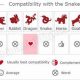 Chinese Zodiac Snake Compatibility Guide | Astrology Inaction: Discover the Hidden Power of the Stars