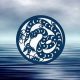 Decoding the Water Snake: Chinese Astrology Insights | Astrology Inaction: Discover the Hidden Power of the Stars