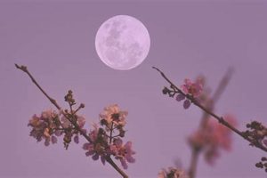 Understanding April 9 Astrology: Traits and Insights | Astrology Inaction: Discover the Hidden Power of the Stars