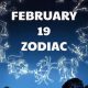 Discover Your February 19th Zodiac Sign | Astrology Inaction: Discover the Hidden Power of the Stars