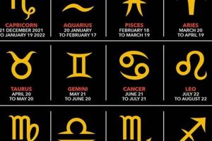 Dec 24 Zodiac Sign: Personality & Traits Safem Fabrication - Precision Engineering & Custom Manufacturing Solutions Dec 24 Zodiac Sign: Personality & Traits | Safem Fabrication - Precision Engineering & Custom Manufacturing Solutions