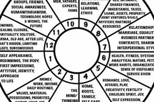 Understanding Astrology House Meanings | Astrology Inaction: Discover the Hidden Power of the Stars