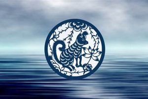 Understanding the Water Dog: Chinese Astrology Guide Astrology Inaction: Discover the Hidden Power of the Stars Understanding the Water Dog: Chinese Astrology Guide | Astrology Inaction: Discover the Hidden Power of the Stars