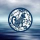 Understanding the Water Dog: Chinese Astrology Guide | Astrology Inaction: Discover the Hidden Power of the Stars