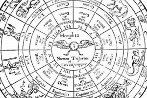 Understanding Astrology House Systems & Meanings Astrology Inaction: Discover the Hidden Power of the Stars Understanding Astrology House Systems & Meanings | Astrology Inaction: Discover the Hidden Power of the Stars