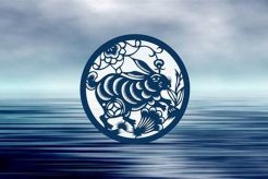 Water Rabbit Chinese Astrology | Astrology Inaction: Discover the Hidden Power of the Stars