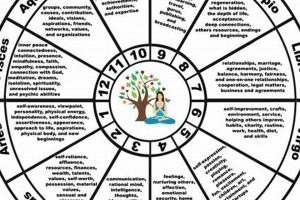 Decode Your Astrology House Wheel Now Astrology Inaction: Discover the Hidden Power of the Stars Decode Your Astrology House Wheel Now | Astrology Inaction: Discover the Hidden Power of the Stars