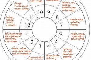 Understanding House 10 in Astrology: A Guide Astrology Inaction: Discover the Hidden Power of the Stars Understanding House 10 in Astrology: A Guide | Astrology Inaction: Discover the Hidden Power of the Stars