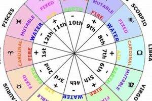 Understanding House Signs Astrology: A Guide | Astrology Inaction: Discover the Hidden Power of the Stars