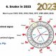 2001 Chinese Astrology | Astrology Inaction: Discover the Hidden Power of the Stars