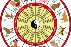 2017 Chinese Astrology: Year of the Rooster Astrology Inaction: Discover the Hidden Power of the Stars 2017 Chinese Astrology: Year of the Rooster | Astrology Inaction: Discover the Hidden Power of the Stars