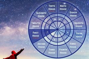 Understanding Planets in Houses Astrology Astrology Inaction: Discover the Hidden Power of the Stars Understanding Planets in Houses Astrology | Astrology Inaction: Discover the Hidden Power of the Stars