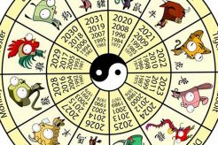 Your Chinese Astrology 2014 Forecast Astrology Inaction: Discover the Hidden Power of the Stars Your Chinese Astrology 2014 Forecast | Astrology Inaction: Discover the Hidden Power of the Stars