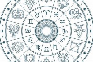 November 17 Astrology: Birthday & Zodiac Traits Safem Fabrication - Precision Engineering & Custom Manufacturing Solutions November 17 Astrology: Birthday & Zodiac Traits | Safem Fabrication - Precision Engineering & Custom Manufacturing Solutions