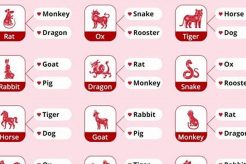 Chinese Astrology Chart Compatibility Guide Astrology Inaction: Discover the Hidden Power of the Stars Chinese Astrology Chart Compatibility Guide | Astrology Inaction: Discover the Hidden Power of the Stars