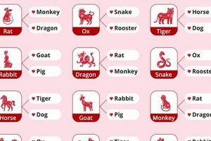 Chinese Astrology Chart Compatibility Guide Astrology Inaction: Discover the Hidden Power of the Stars Chinese Astrology Chart Compatibility Guide | Astrology Inaction: Discover the Hidden Power of the Stars
