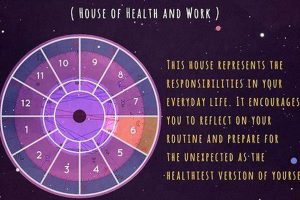 Decoding the 6th House in Astrology: A Guide Safem Fabrication - Precision Engineering & Custom Manufacturing Solutions Decoding the 6th House in Astrology: A Guide | Safem Fabrication - Precision Engineering & Custom Manufacturing Solutions