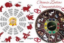 Find Love: Chinese Astrology Dating Guide Astrology Inaction: Discover the Hidden Power of the Stars Find Love: Chinese Astrology Dating Guide | Astrology Inaction: Discover the Hidden Power of the Stars