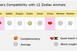 Chinese Astrology Horse Compatibility Astrology Inaction: Discover the Hidden Power of the Stars Chinese Astrology Horse Compatibility | Astrology Inaction: Discover the Hidden Power of the Stars