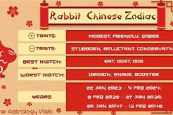 Chinese Zodiac Rabbit Compatibility Guide Astrology Inaction: Discover the Hidden Power of the Stars Chinese Zodiac Rabbit Compatibility Guide | Astrology Inaction: Discover the Hidden Power of the Stars