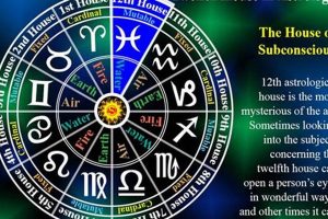 Understanding 2nd House Astrology: A Guide | Astrology Inaction: Discover the Hidden Power of the Stars