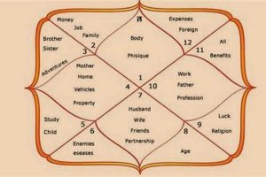 Discover Vedic Astrology Meaning & Insights | Astrology Inaction: Discover the Hidden Power of the Stars