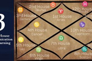 3rd House In Vedic Astrology Astrology Inaction: Discover the Hidden Power of the Stars 3rd House In Vedic Astrology | Astrology Inaction: Discover the Hidden Power of the Stars